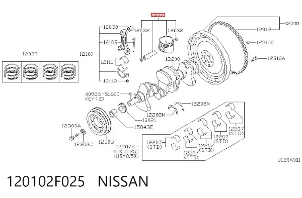  120102F025 Nissan/Infiniti