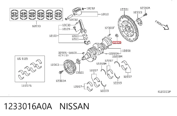  1233016A0A Nissan/Infiniti