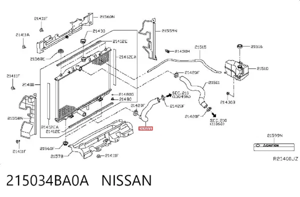 Шланг/патрубок радіатора охолодження, нижній 215034BA0A Nissan/Infiniti