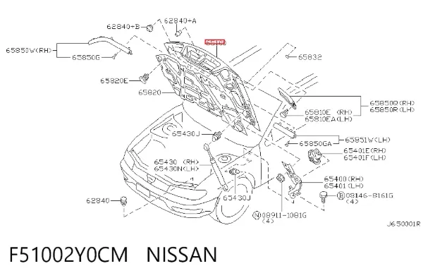 Капот F51002Y0CM Nissan/Infiniti
