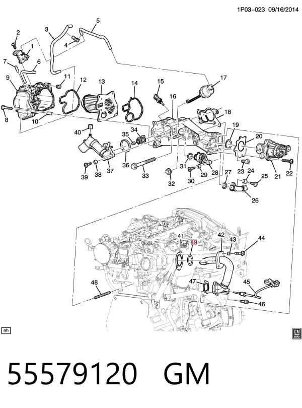 Ущільнююче кільце патрубка EGR 851053 General Motors