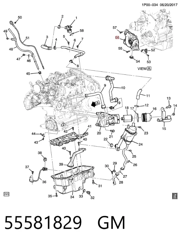 Масляний насос OP0161 Magneti Marelli