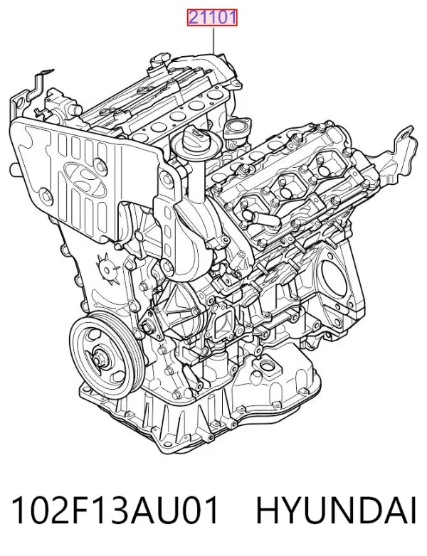 Двигун 102F13AU01 Hyundai/Kia