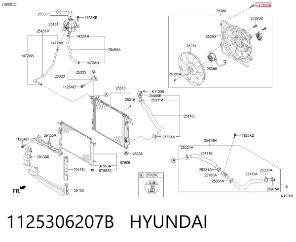  1125306207B Hyundai/Kia