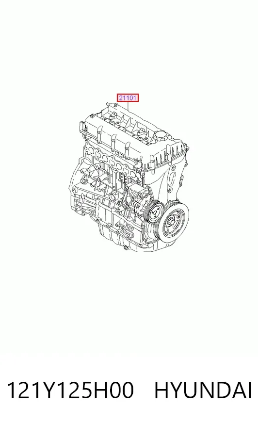 Двигун 121Y125H00 Hyundai/Kia