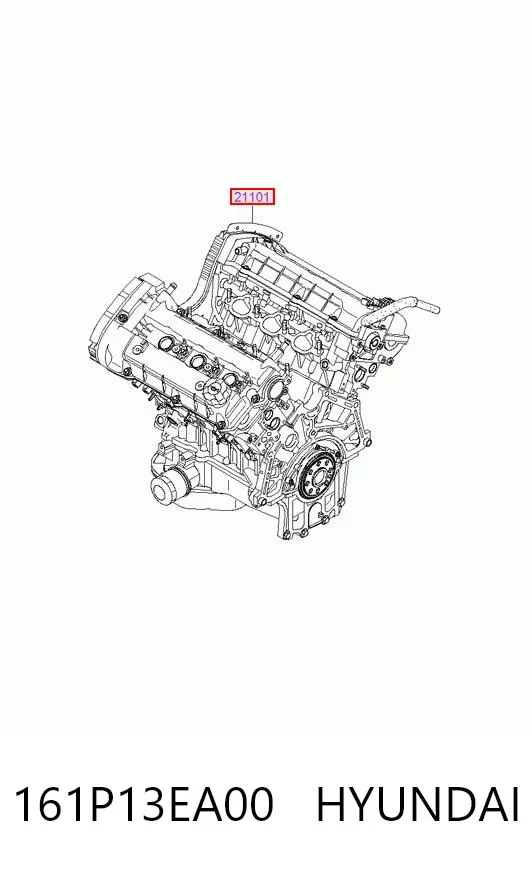 Двигун 161P13EA00 Hyundai/Kia