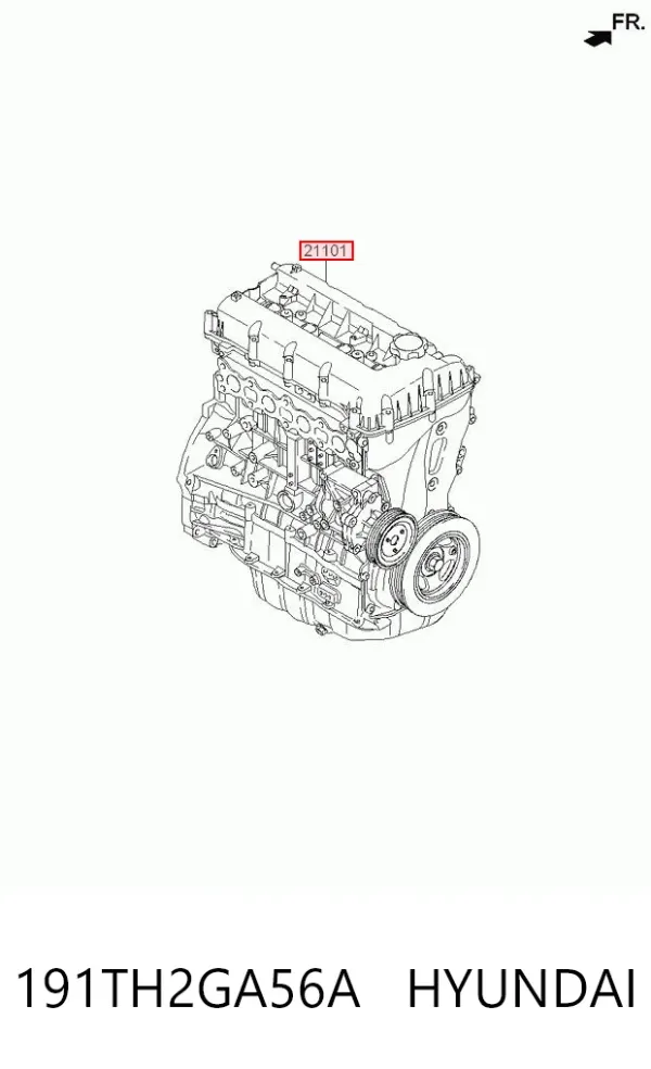 Двигун 191TH2GA56A Hyundai/Kia