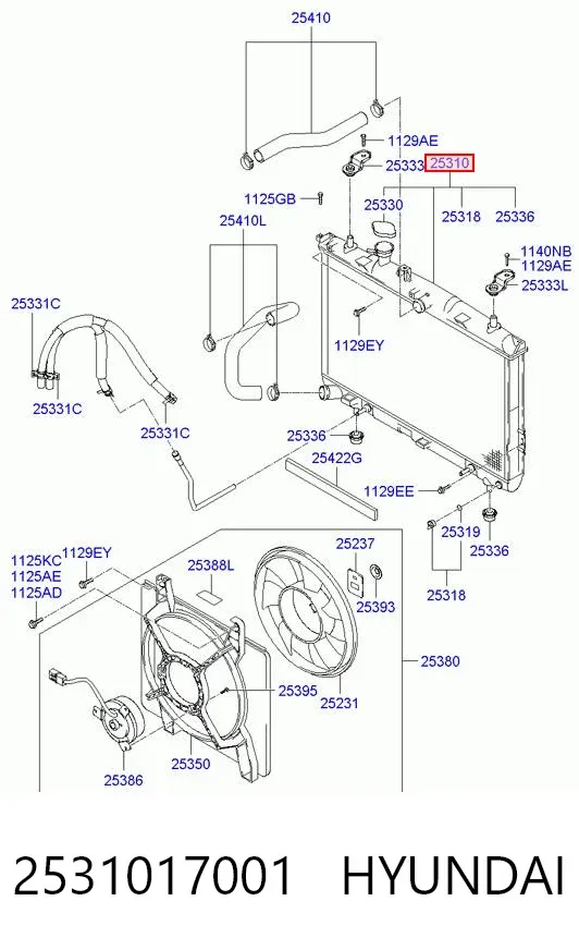 Радіатор 2531017001 Hyundai/Kia