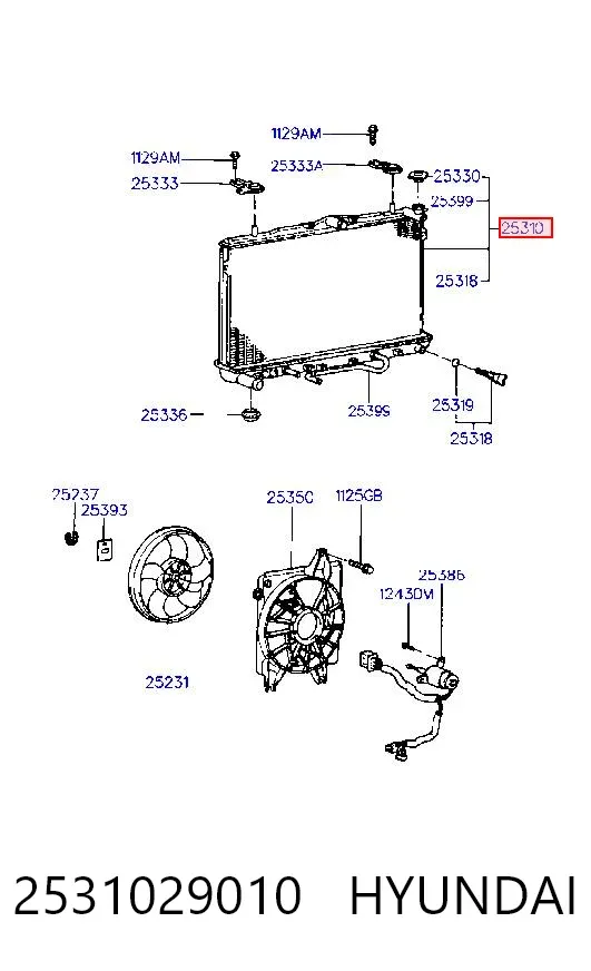 Радіатор 2531029010 Hyundai/Kia