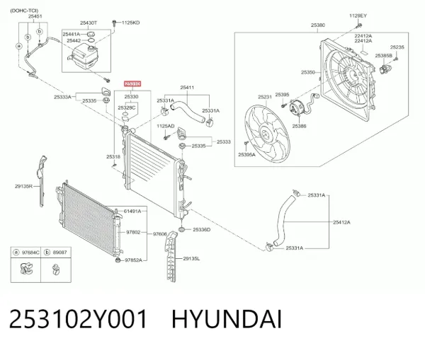 Радіатор 253102Y001 Hyundai/Kia