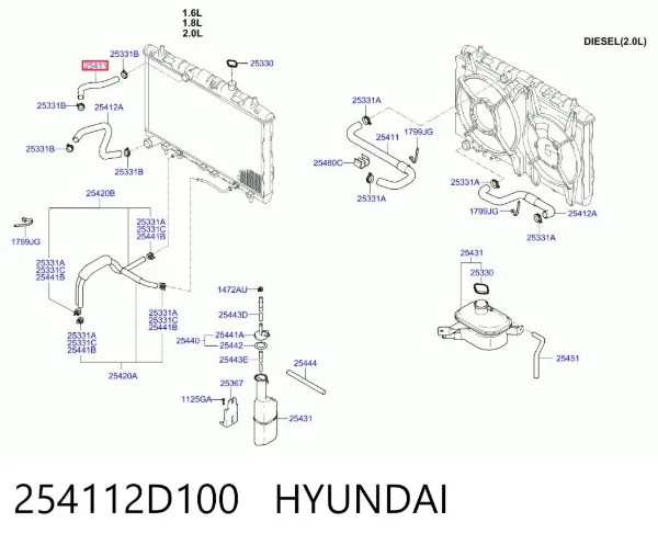Шланг/патрубок радіатора охолодження, верхній 254112D100 Hyundai/Kia