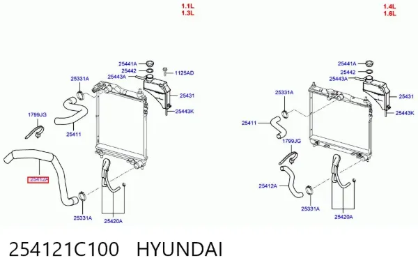 Шланг/патрубок радіатора охолодження, нижній 254121C100 Hyundai/Kia