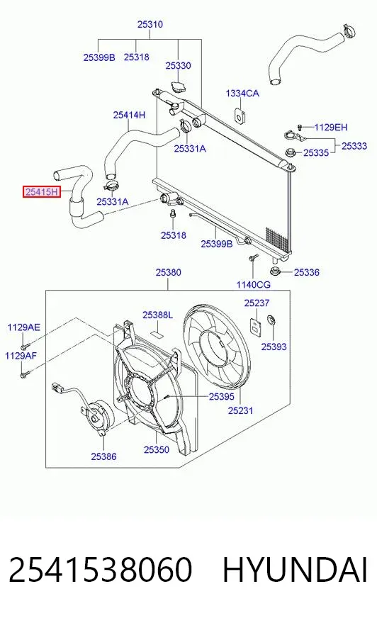 Шланг/патрубок радіатора охолодження, нижній 2541538060 Hyundai/Kia