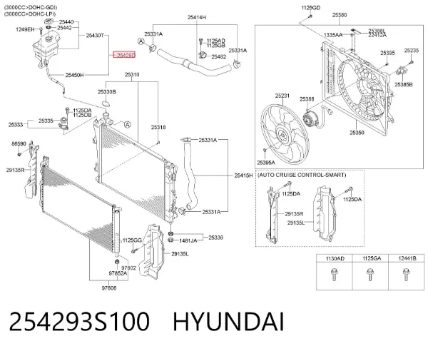 Бачок системи охолодження Hyundai Sonata VI