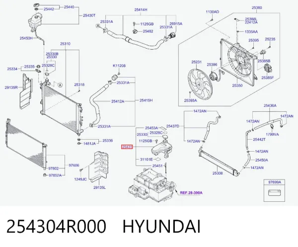 Бачок системи охолодження 254304R000 Hyundai/Kia