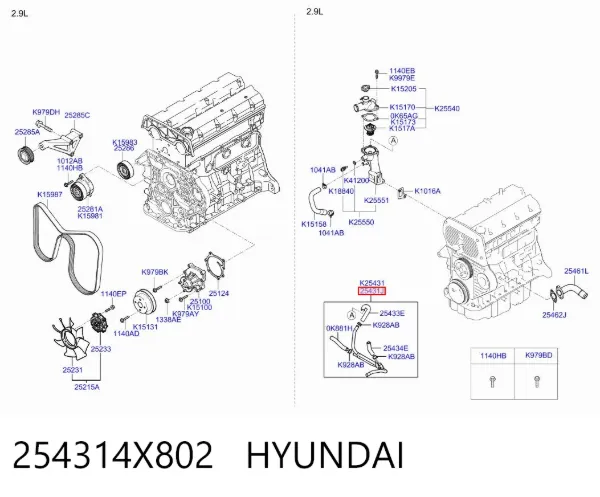  254314X802 Hyundai/Kia