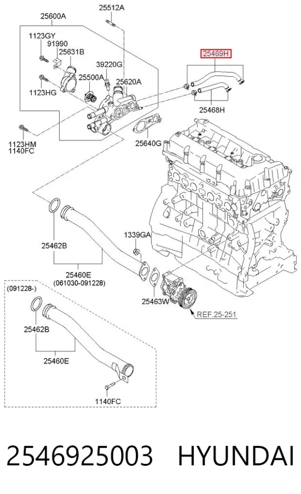 2546925003 Hyundai/Kia