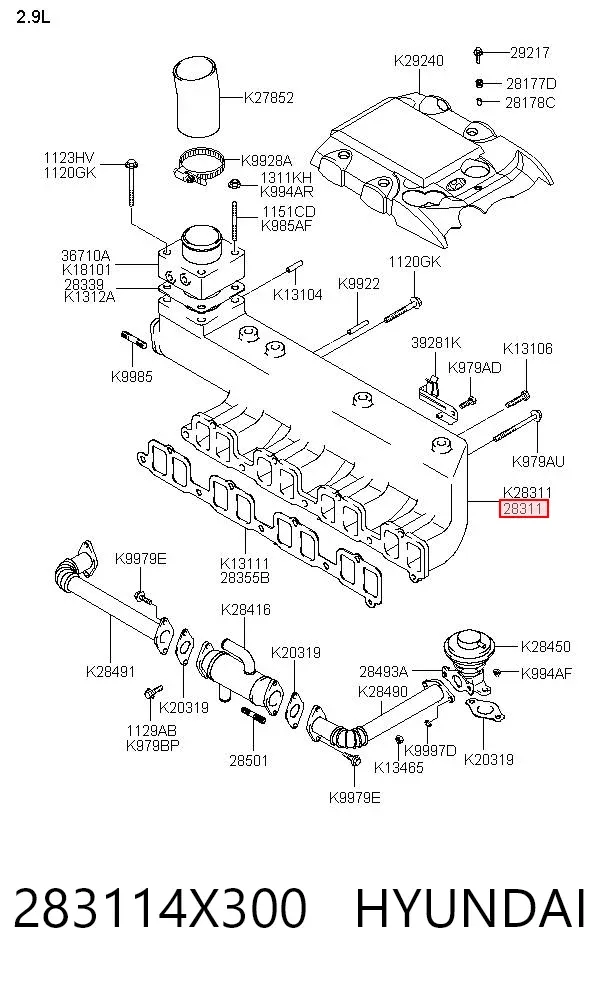 Впускний колектор Hyundai Terracan HP
