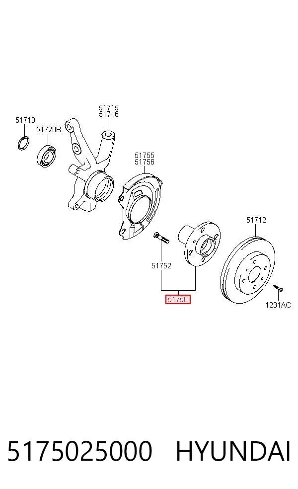 Передня маточина 5175025000 Hyundai/Kia
