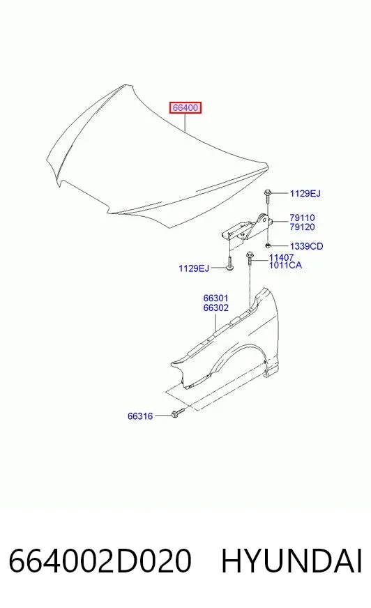 Капот 664002D020 Hyundai/Kia