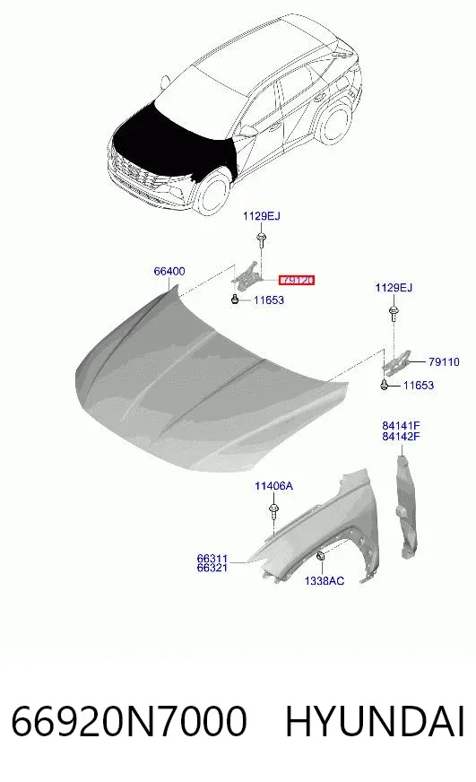 Петля капота, права 66920N7000 Hyundai/Kia
