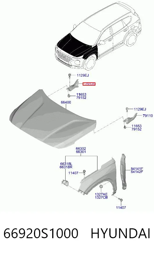 Петля капота, права 66920S1000 Hyundai/Kia
