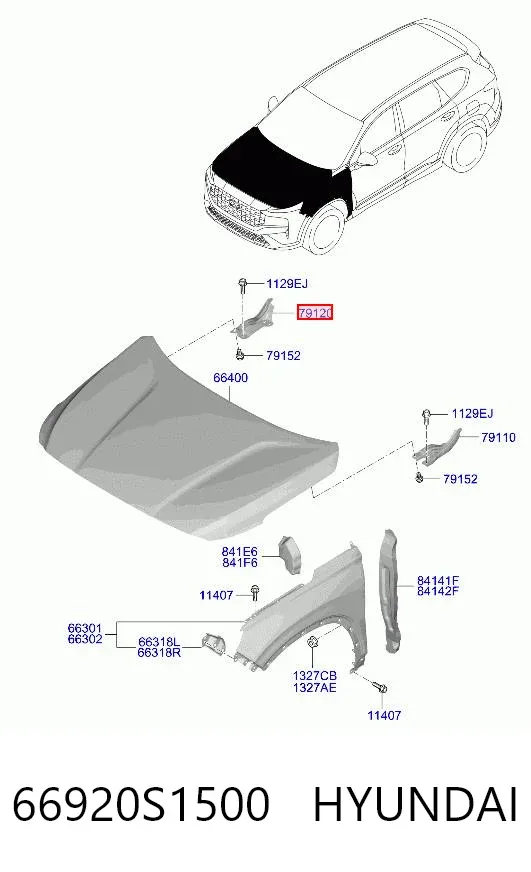 Петля капота, права 66920S1500 Hyundai/Kia