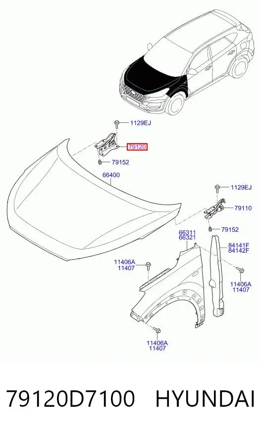 Петля капота, права 79120D7100 Hyundai/Kia