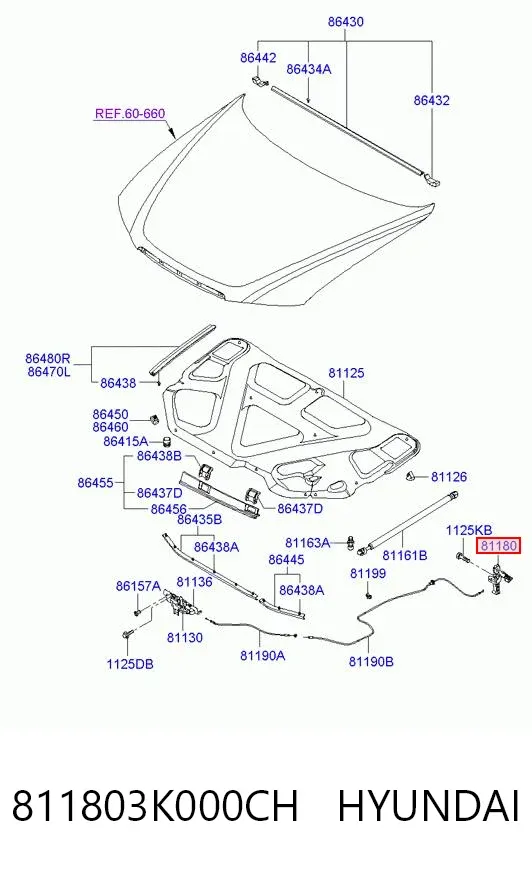 Ручка відкривання капота 811803K000CH Hyundai/Kia