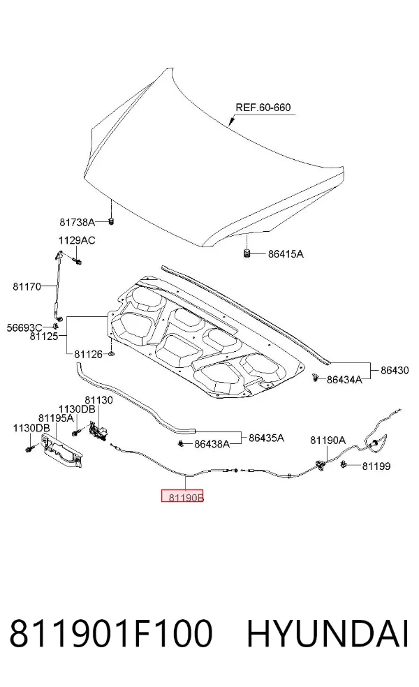 Трос відкриття капота, передній 811901F100 Hyundai/Kia
