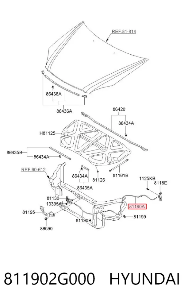 Трос капота 811902G000 Hyundai/Kia