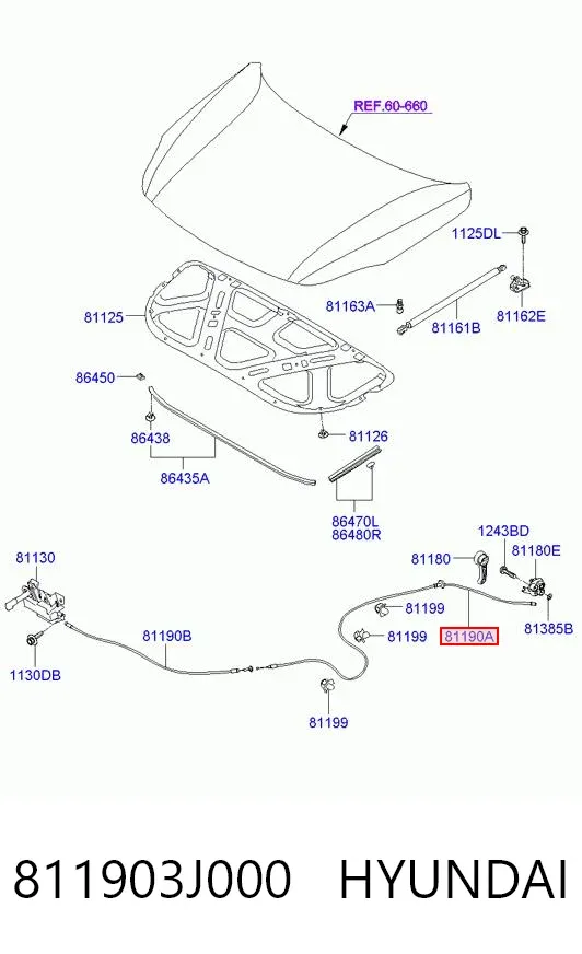  811903J000 Hyundai/Kia