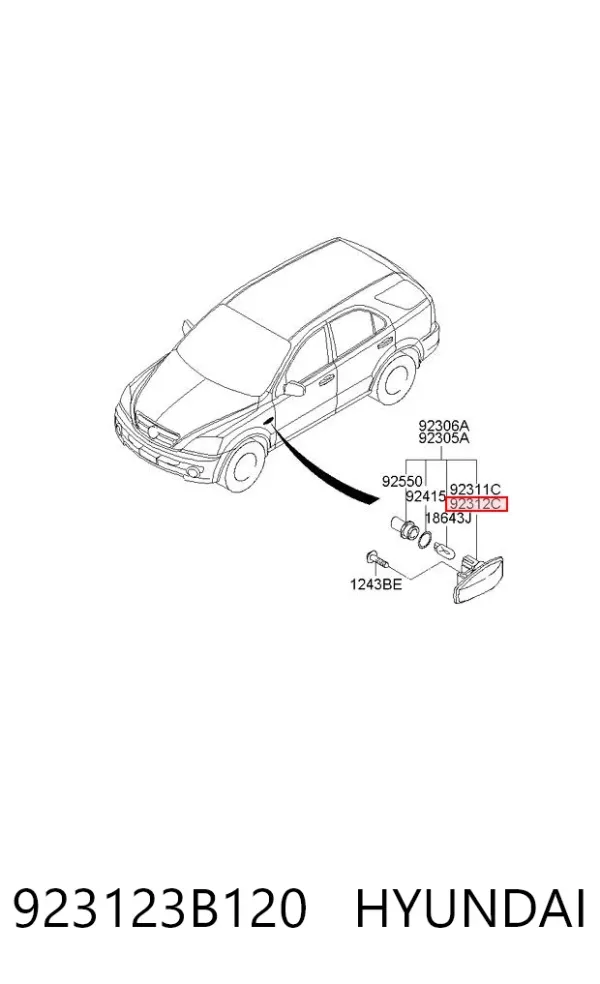 Повторювач повороту на крилі, правий 923123B120 Hyundai/Kia