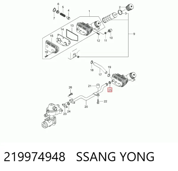  219974948 Ssang Yong