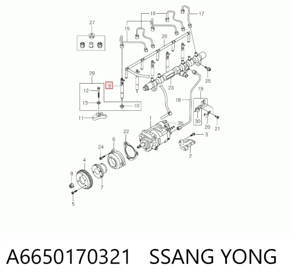 Паливні форсунки A6650170321 Ssang Yong