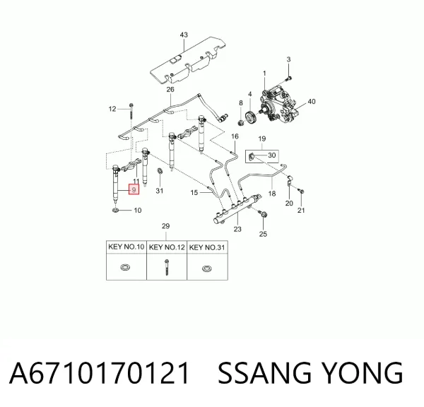 Паливні форсунки A6710170121 Ssang Yong