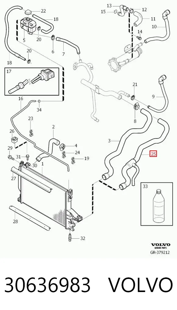  30636983 Volvo