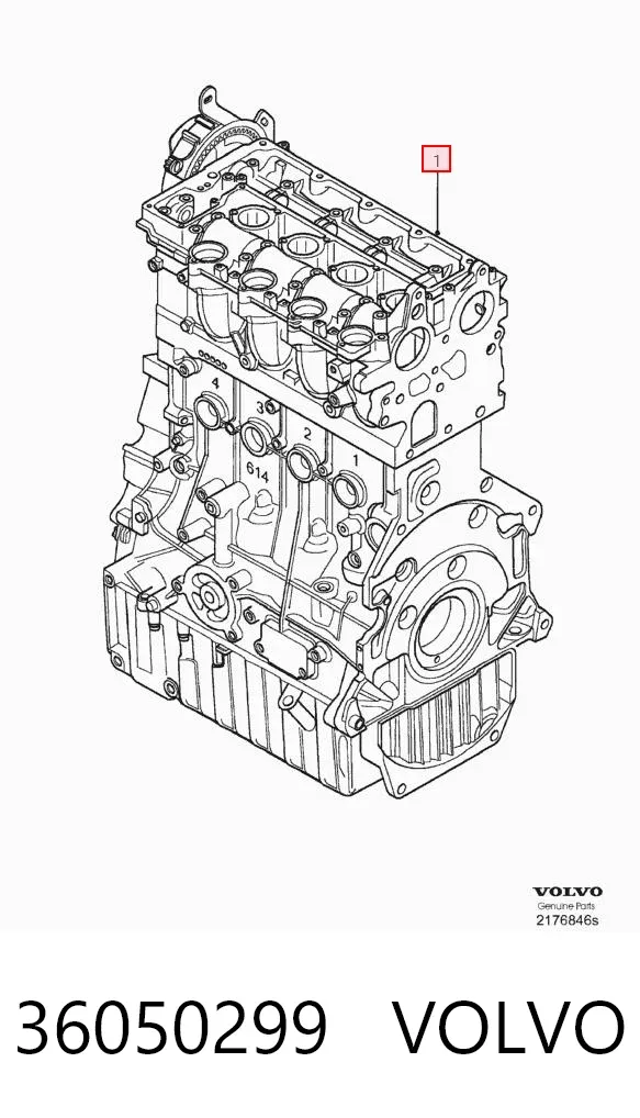 Двигун 36050299 Volvo