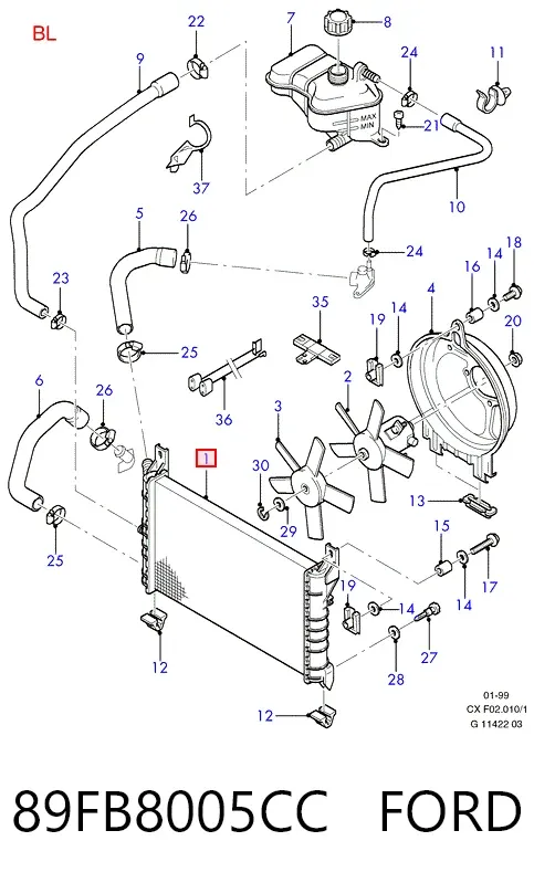 Радіатор 89FB8005CC Ford