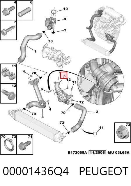 Шланг/патрубок интеркуллера 00001436Q4 Peugeot/Citroen