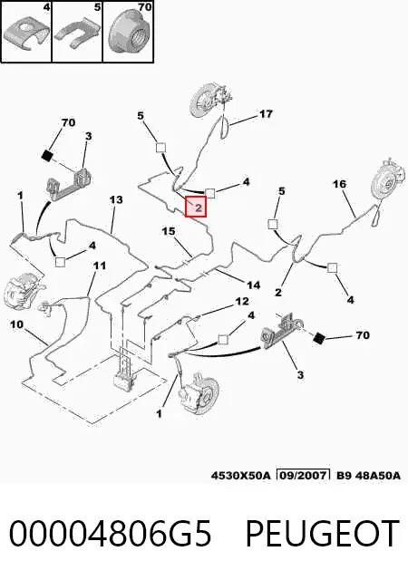 Шланг гальмівний задній 00004806G5 Peugeot/Citroen
