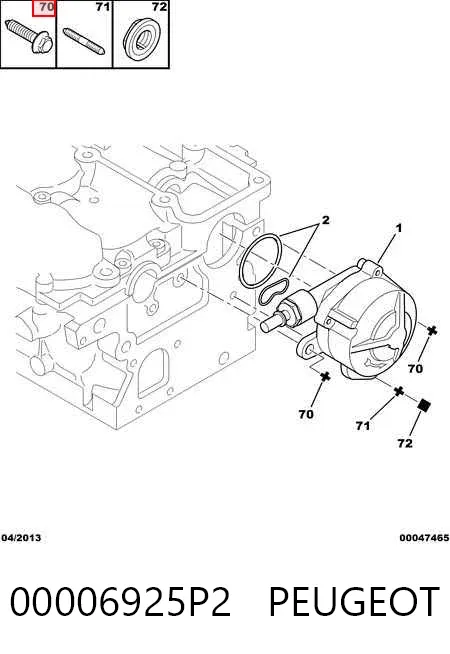  00006925P2 Peugeot/Citroen