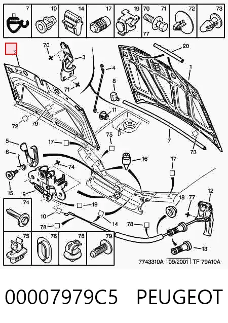 Шумоізоляція капота 00007979C5 Peugeot/Citroen