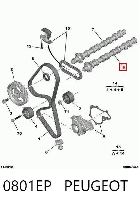 Розподільний вал двигуна випускний 0801EP Peugeot/Citroen