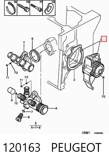 Помпа 120163 Peugeot/Citroen