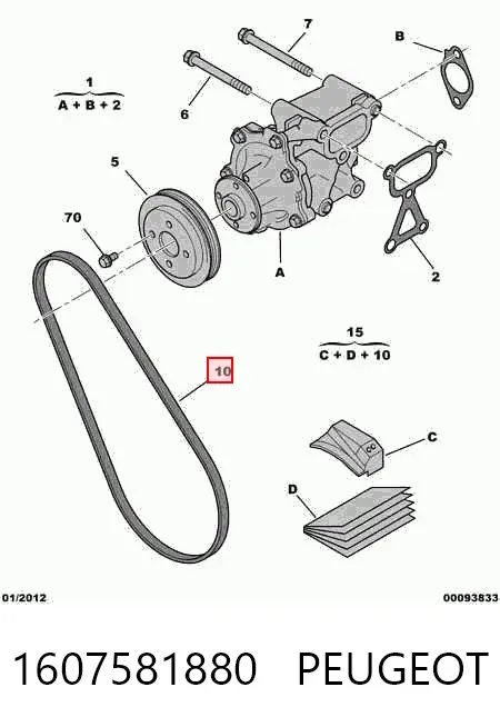 Ремінь генератора 1607581880 Peugeot/Citroen