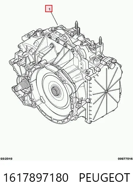  1617897180 Peugeot/Citroen