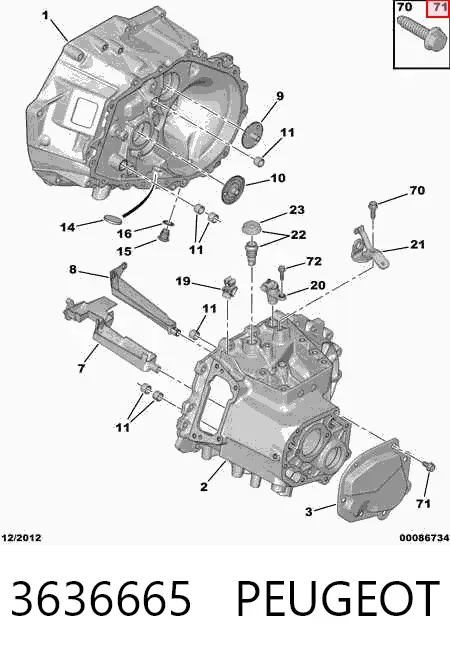  3636665 Peugeot/Citroen