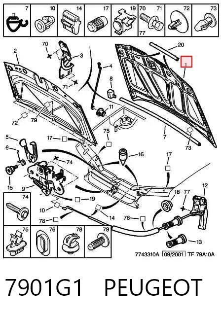 Капот 7901G1 Peugeot/Citroen