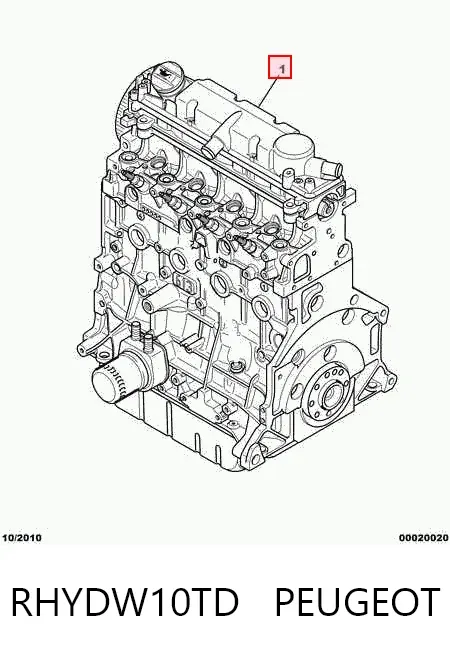 Двигун RHYDW10TD Peugeot/Citroen